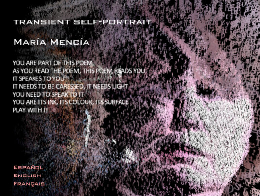 Maria Mencia, Programming by Reda Yacouby and Jalal Miftah,  Transient self–portrait